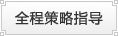 全程策略指导